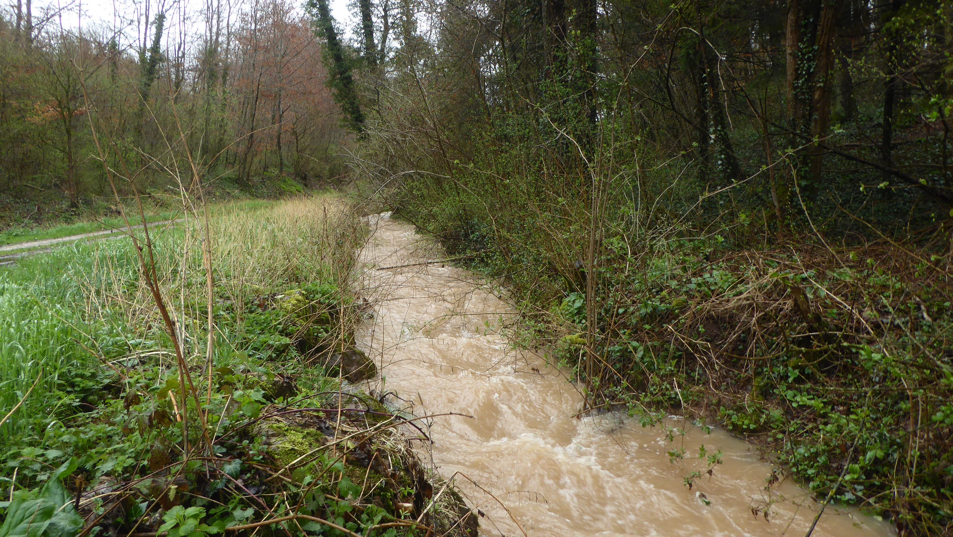 Que d'eau