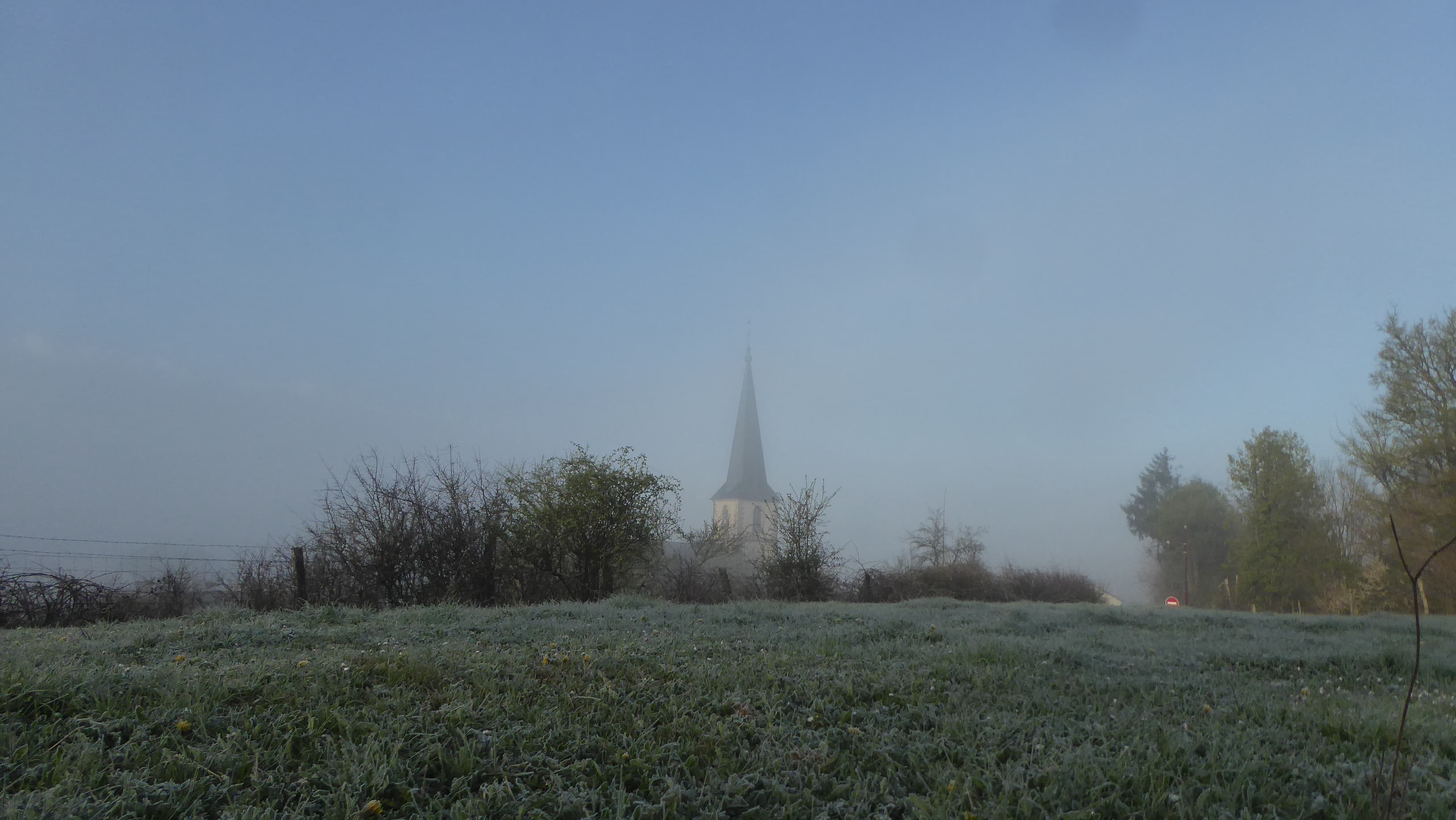 Brouillard