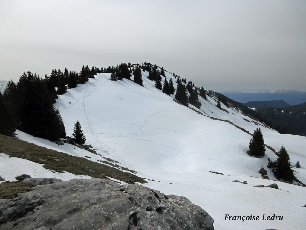 Encore bcp de neige