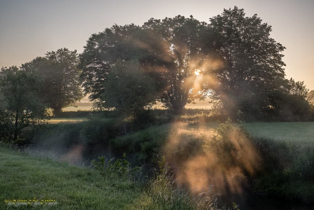 La rivière diffuse