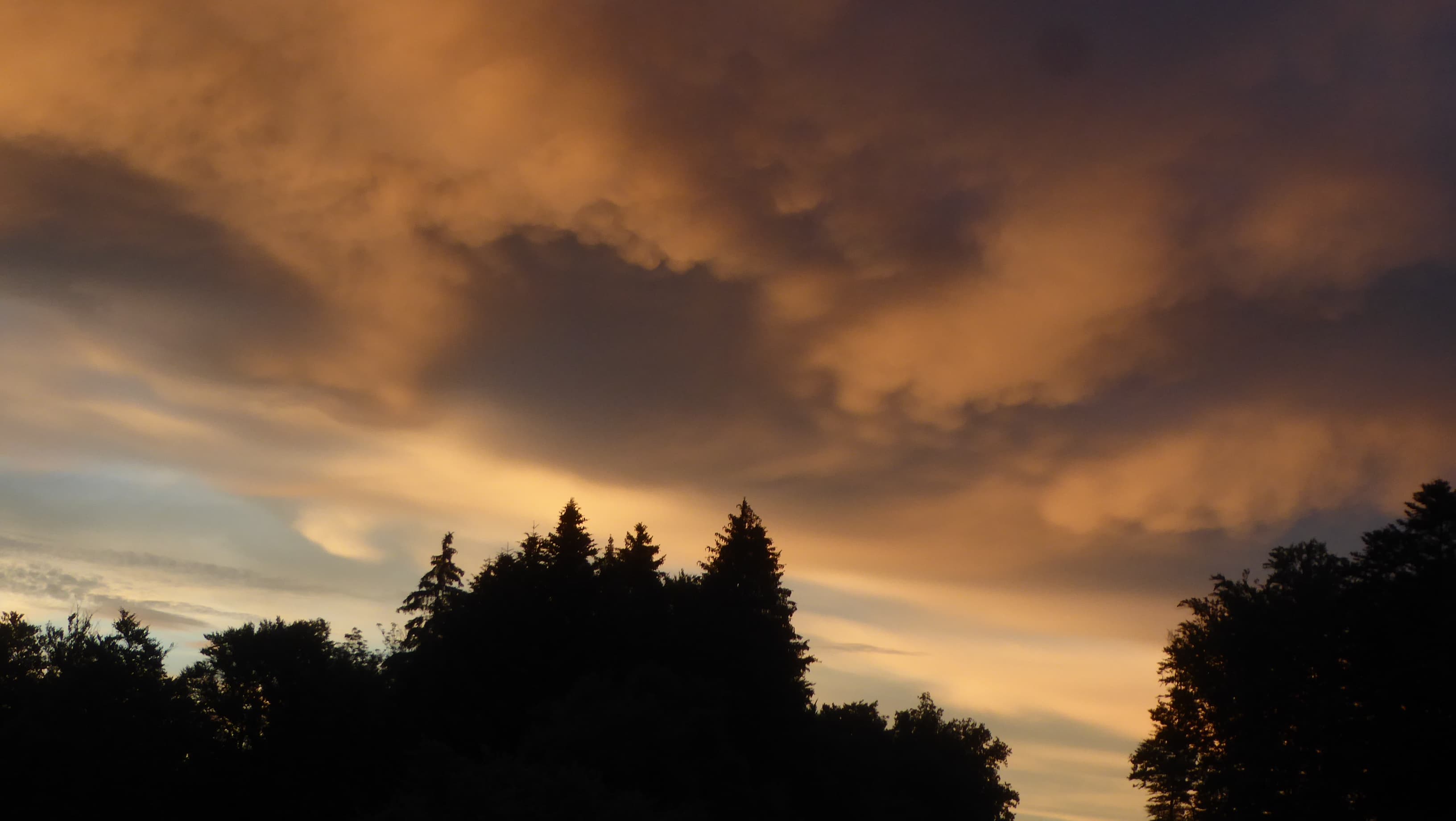 Mammatus