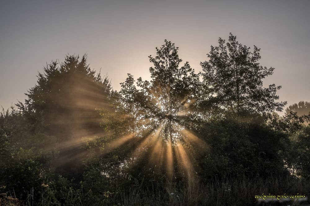 Quelques rayons pour finir