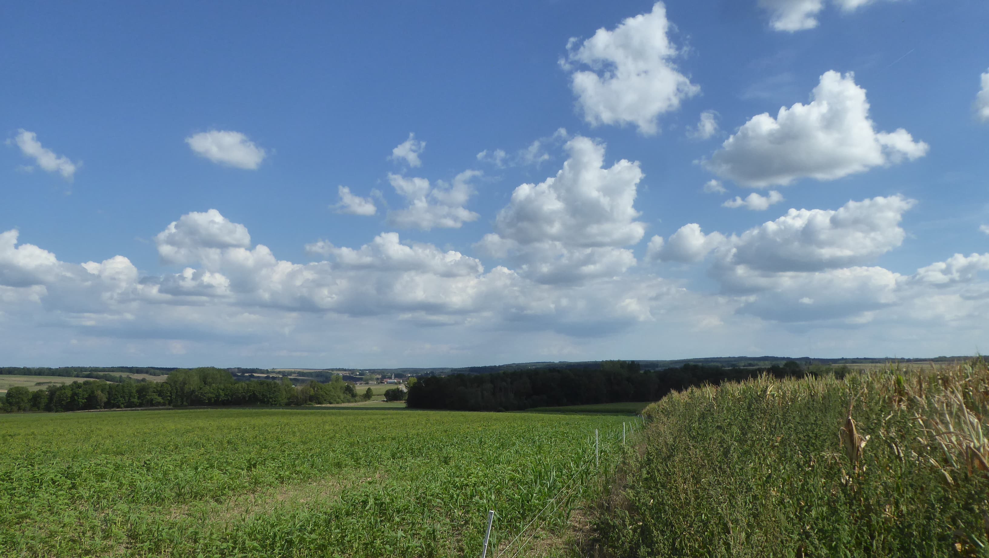 Cumulus de beau temps