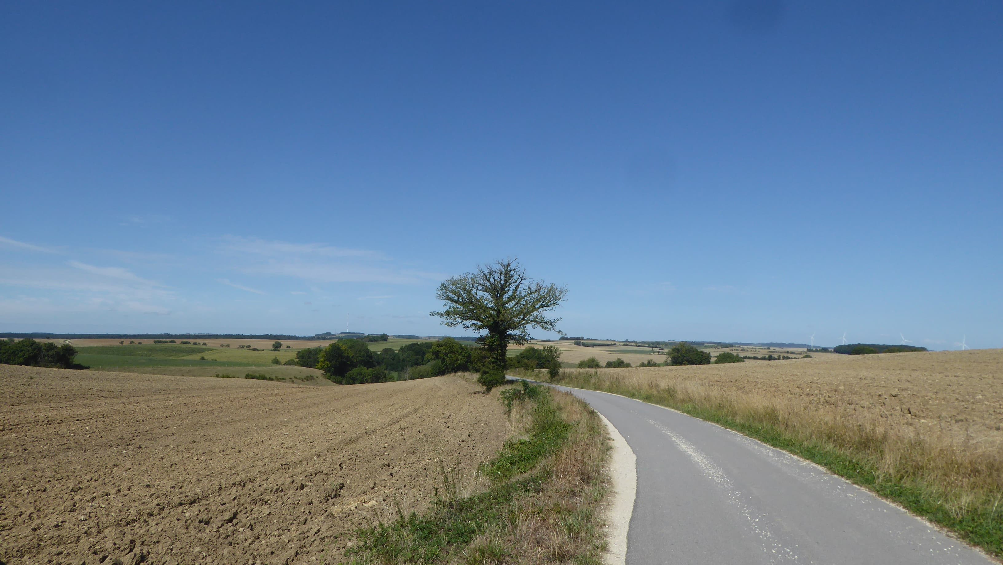 Beau temps