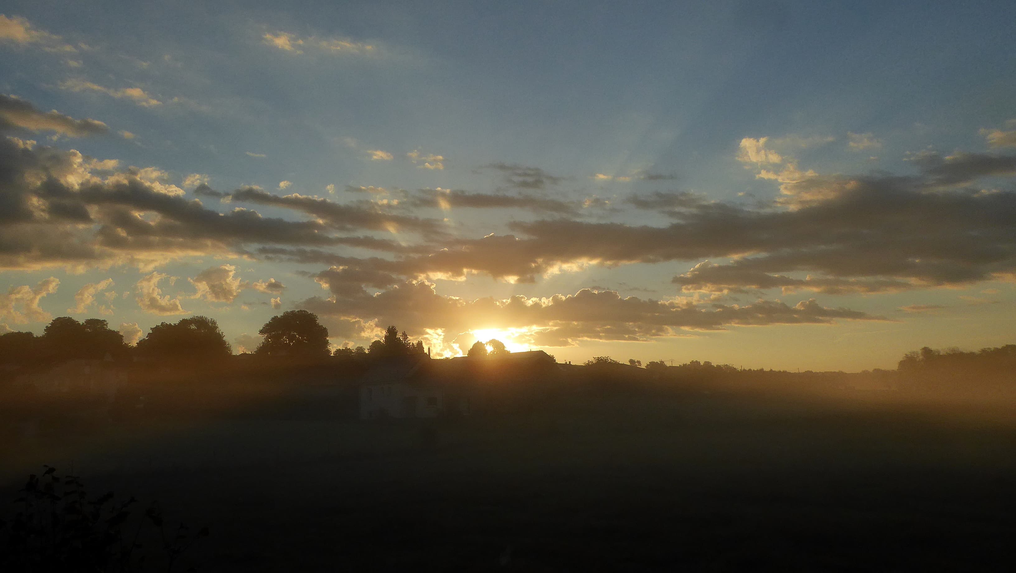 brume matinale