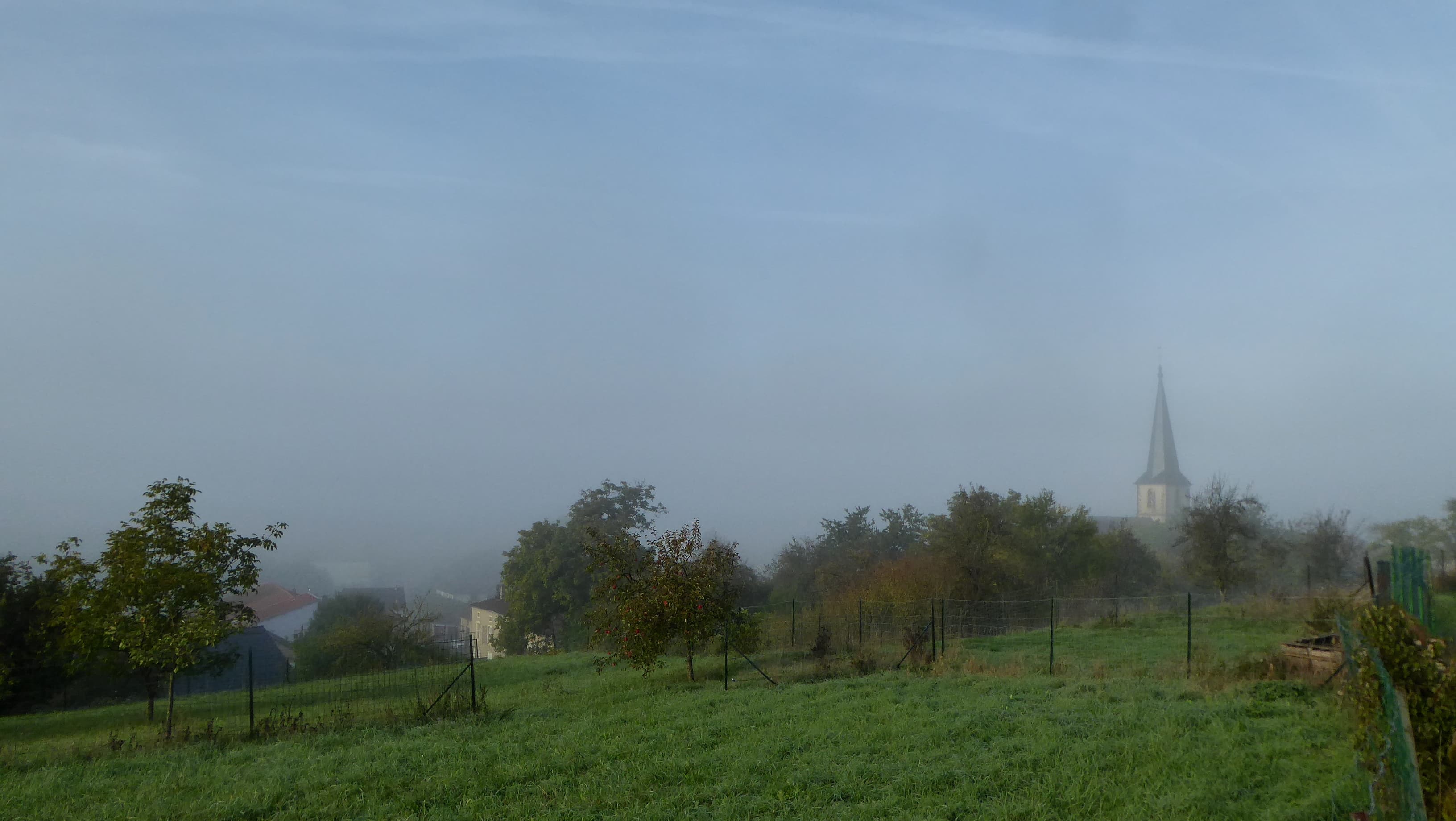 Brouillard matinal