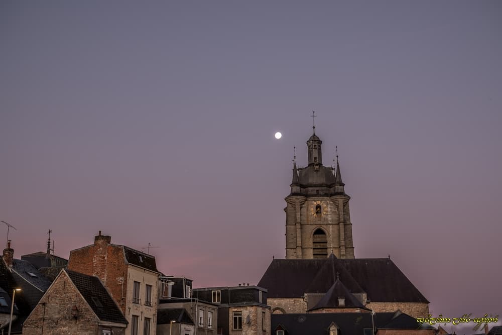Lune solitaire