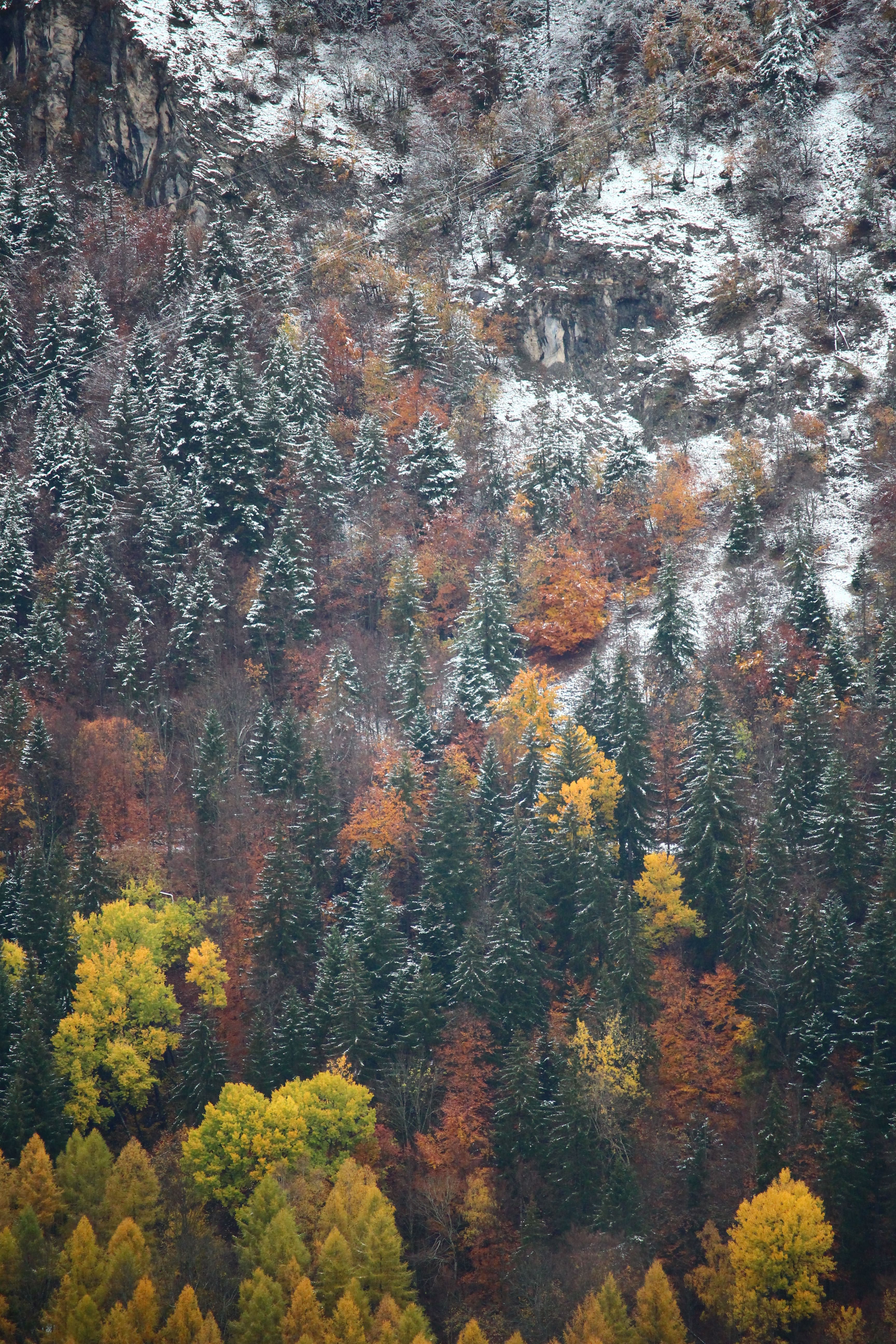 Au dessus des Gorges de la Bourne