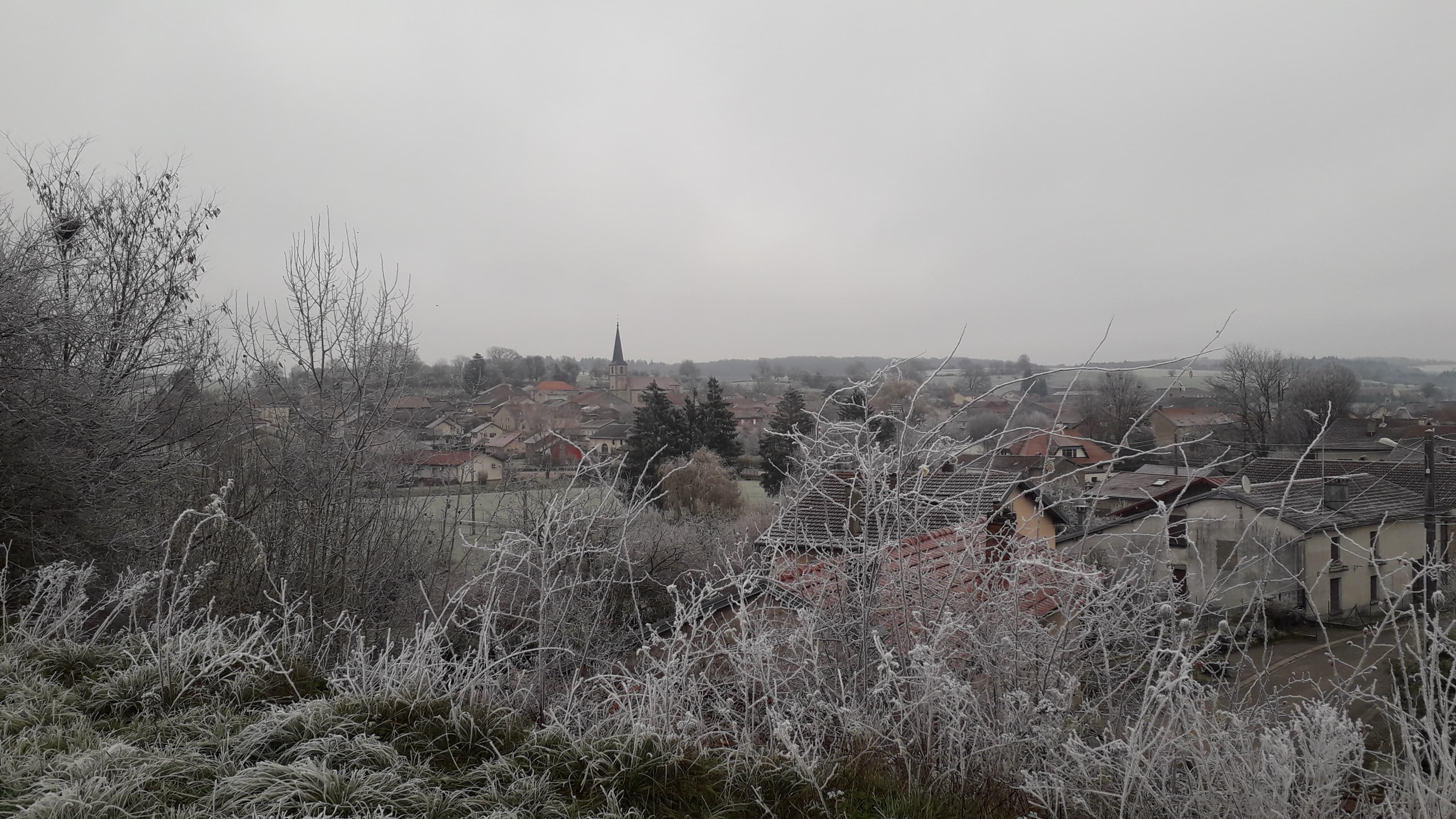 Brouillard givrant