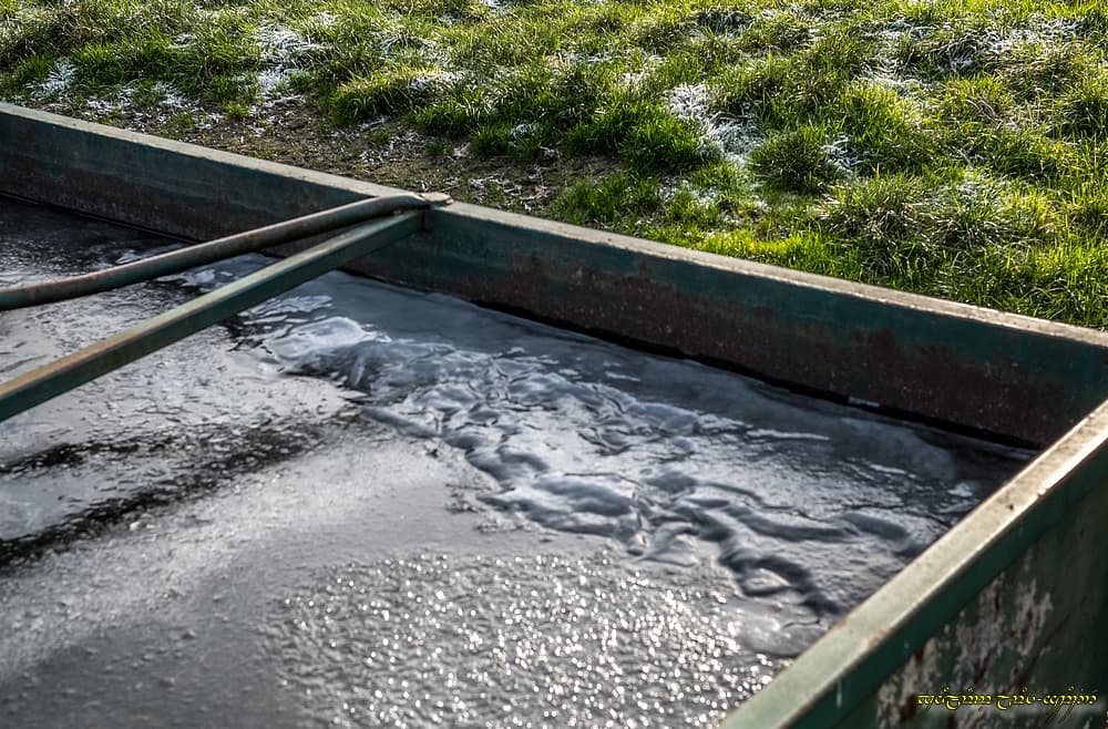 La glace dans l'abreuvoir