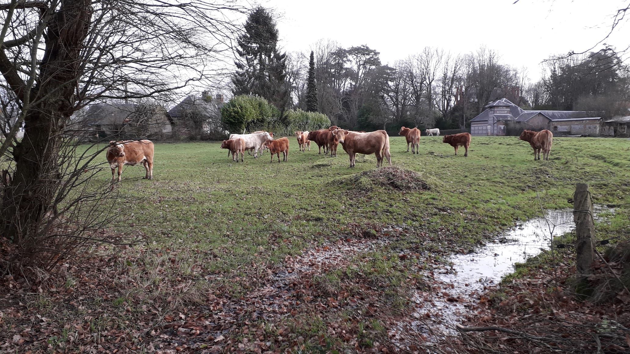 repas en extérieur,on profite de la douceur
