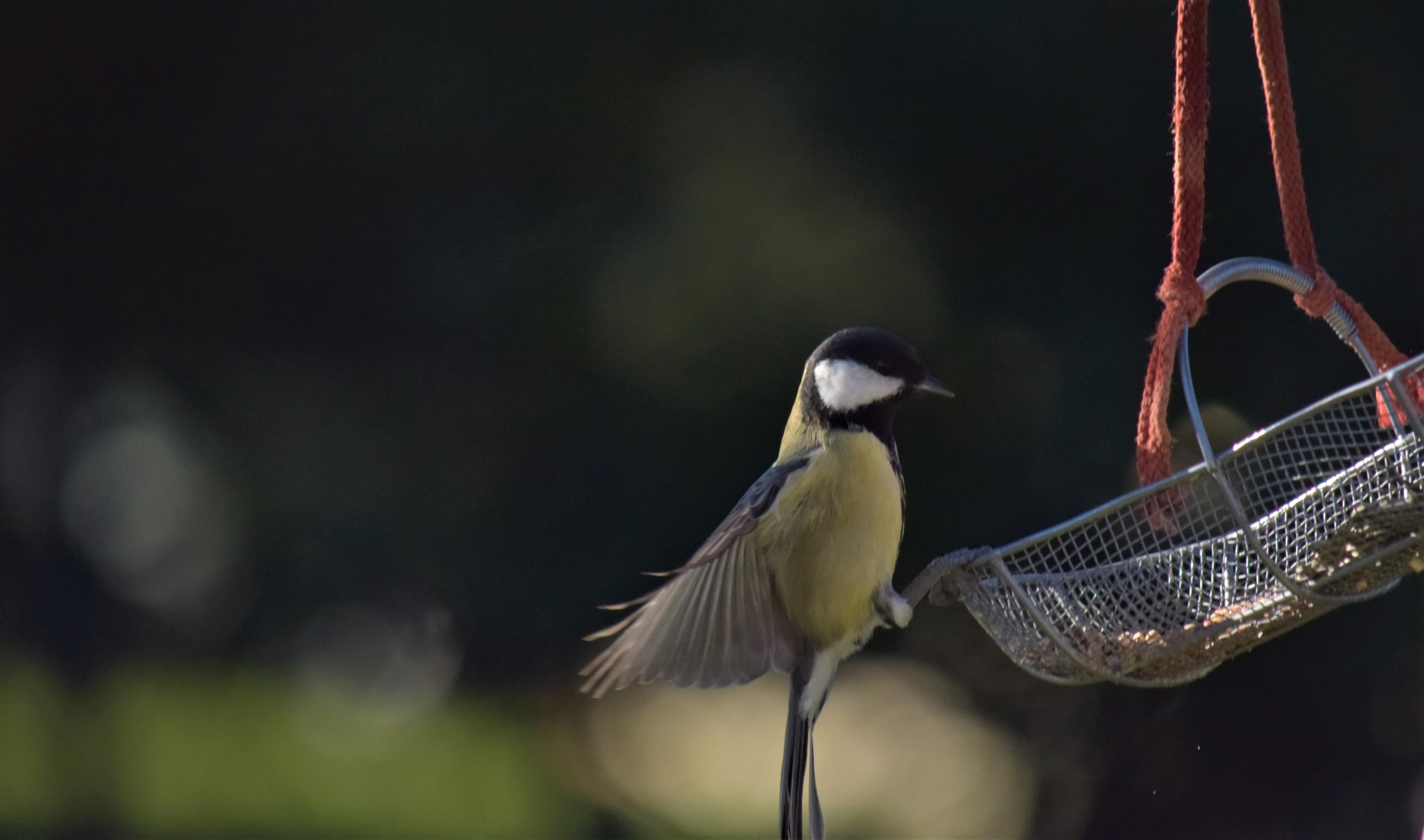 Une certaine élégance