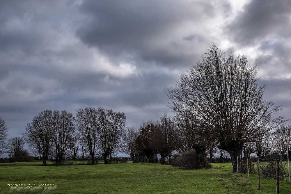 Grande douceur nuageuse