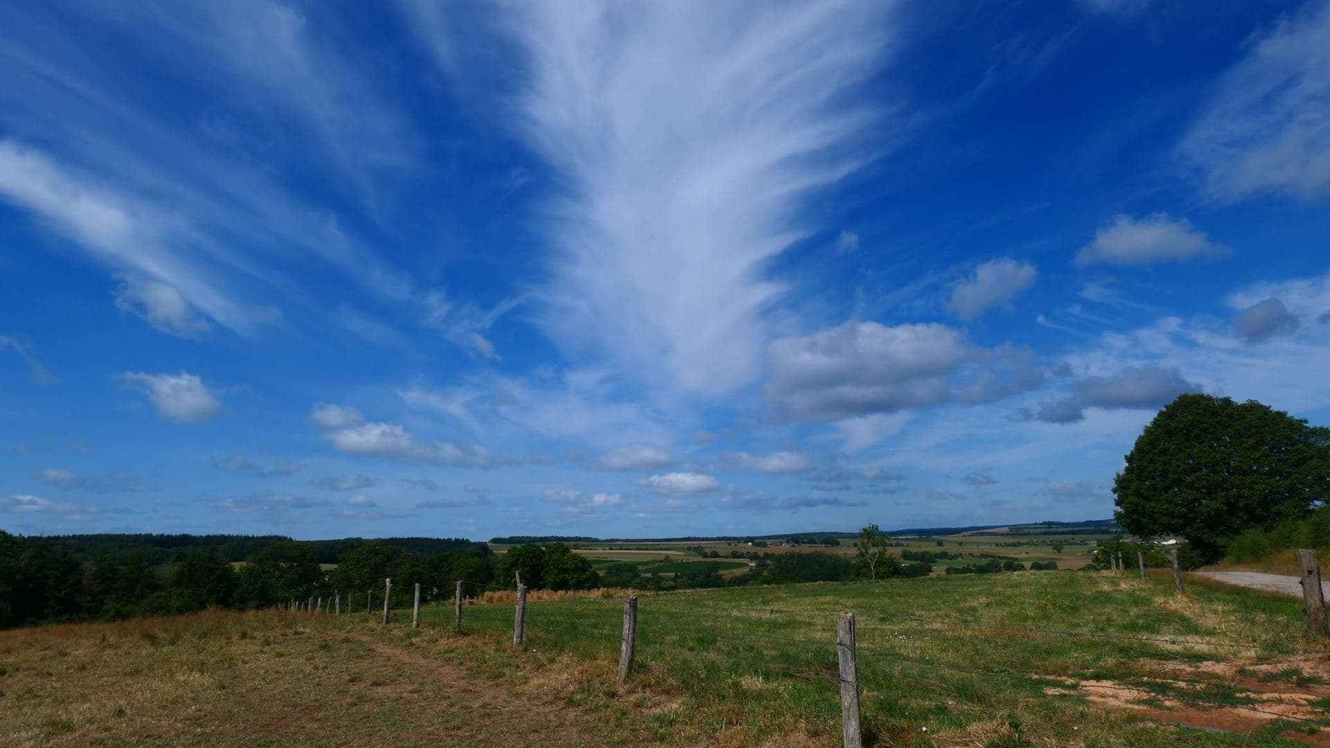 Cirrus