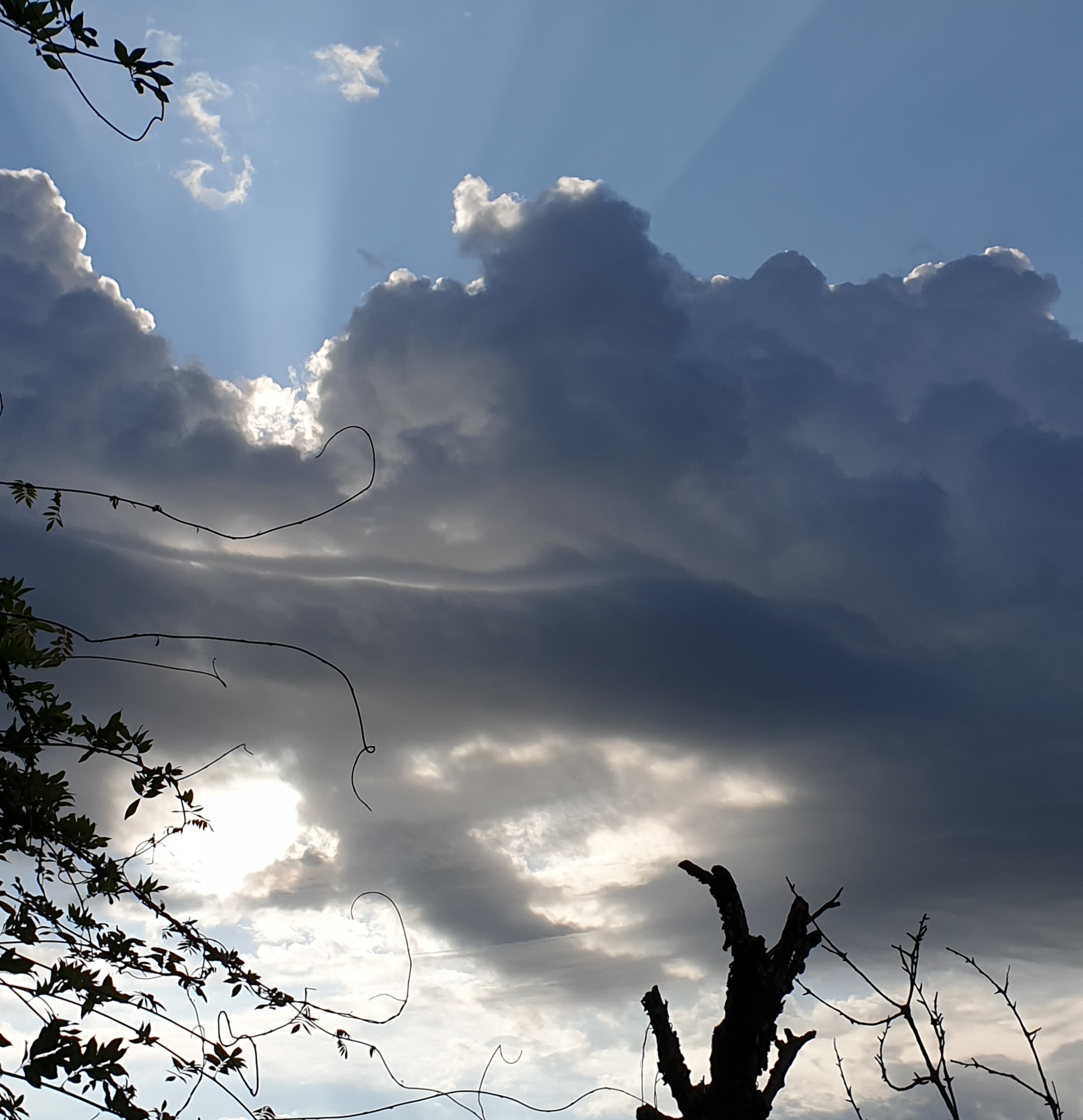 Ambiance particulière en attendant désespérément la pluie pour la Nature et notre petit jardin.....