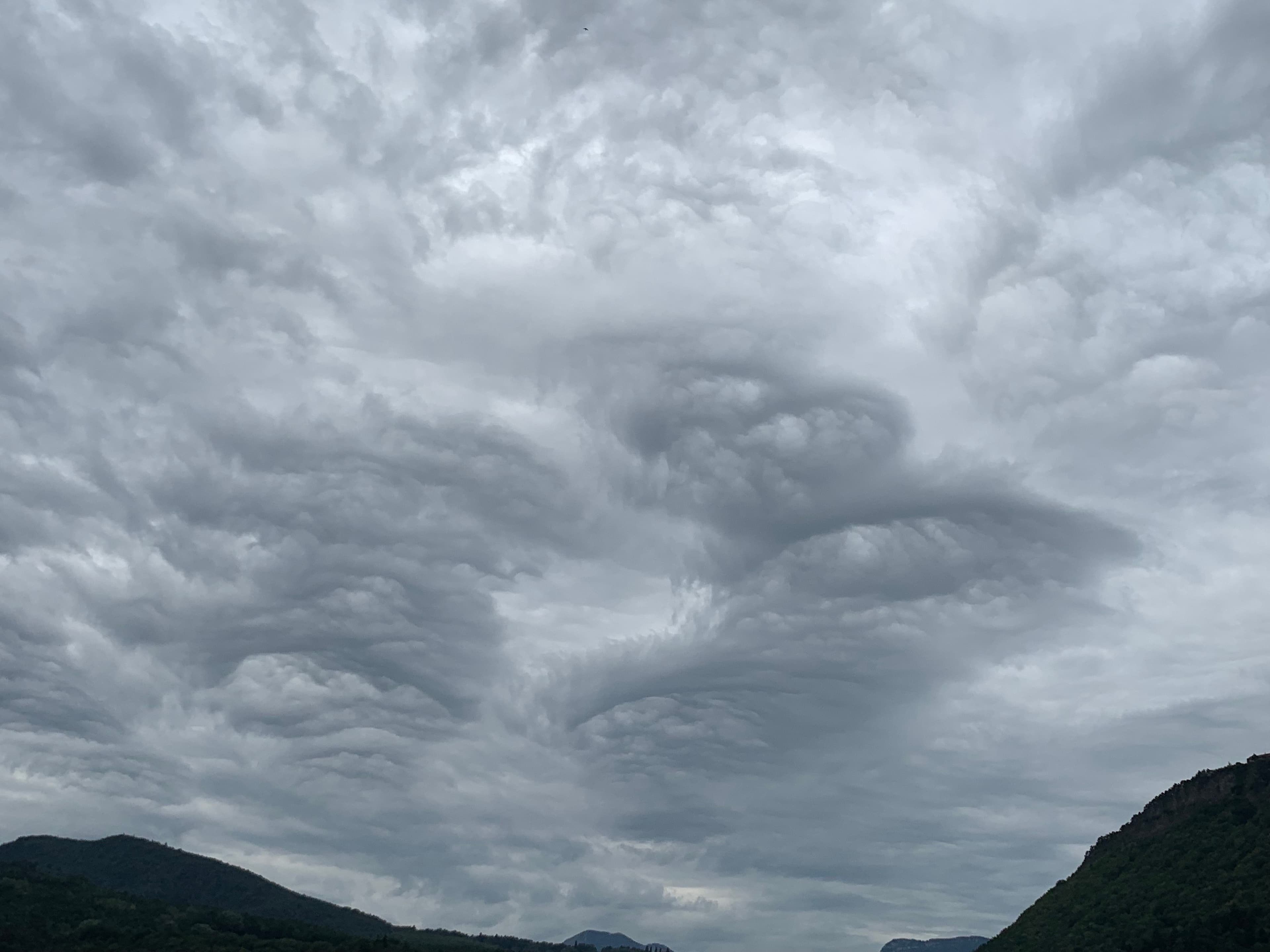 Asperatus