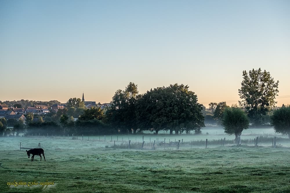 Petite nappe dans la vallée