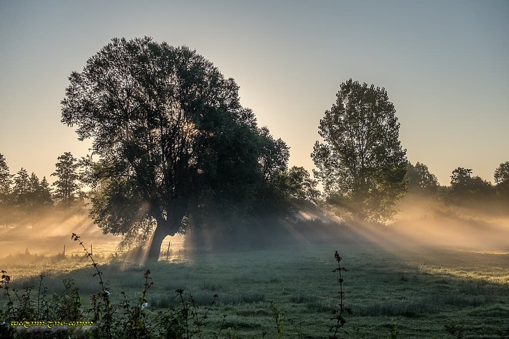 Le doux rais de la vallée
