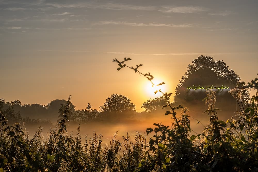 En cherchant bien...