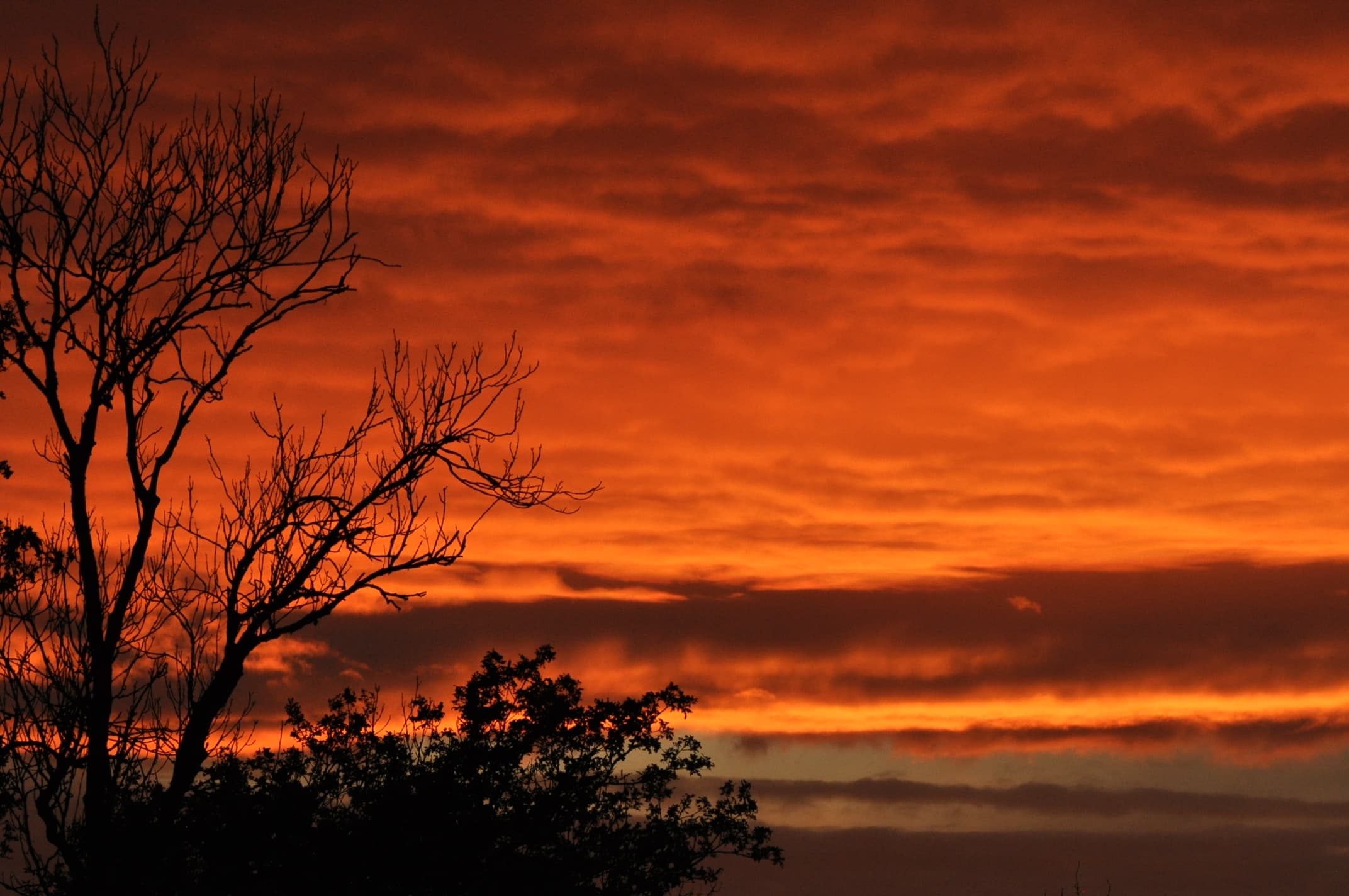 Ombre chinoise et couleurs rougeoyante au coucher du soleil !!!