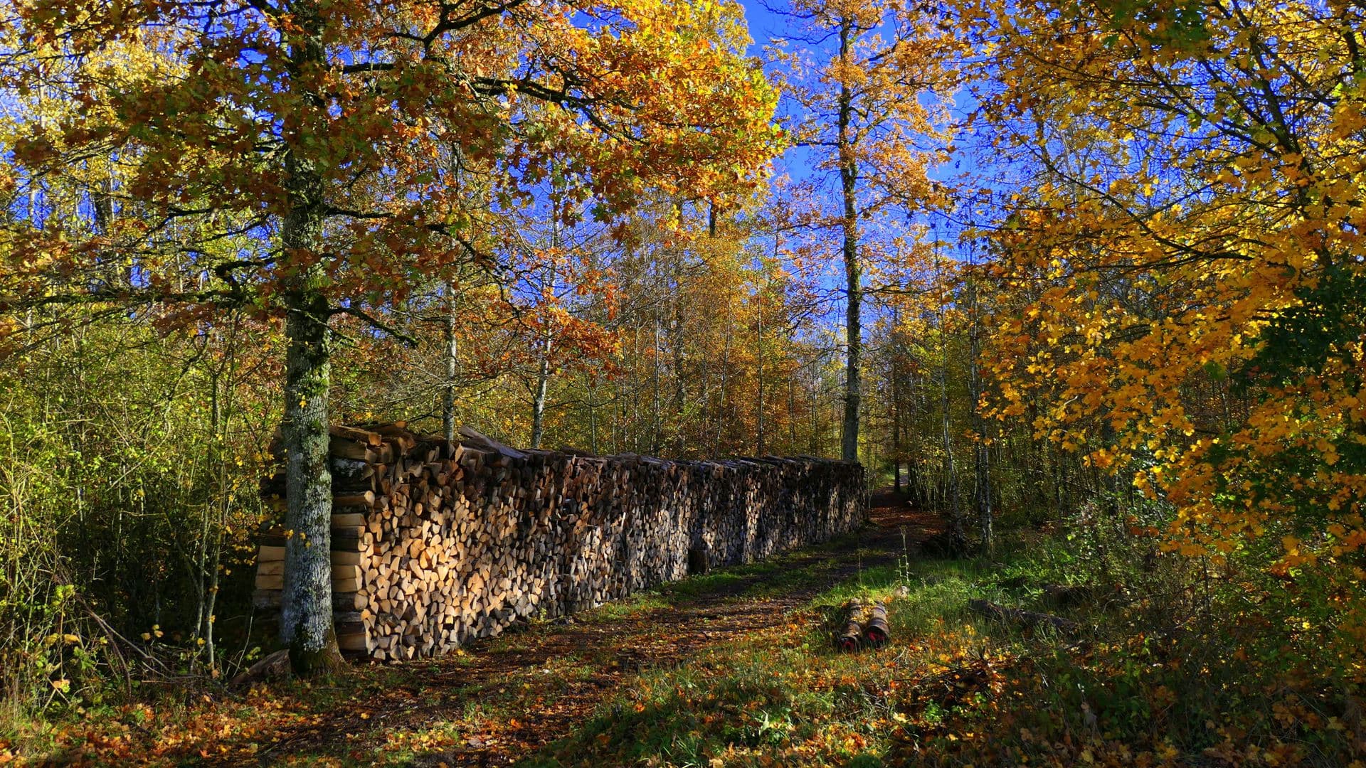 Jolies couleurs d'automne