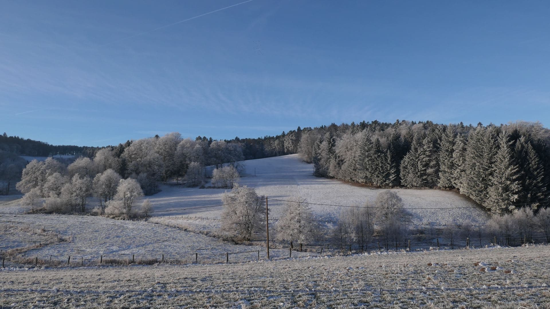 ciel bleu et givre