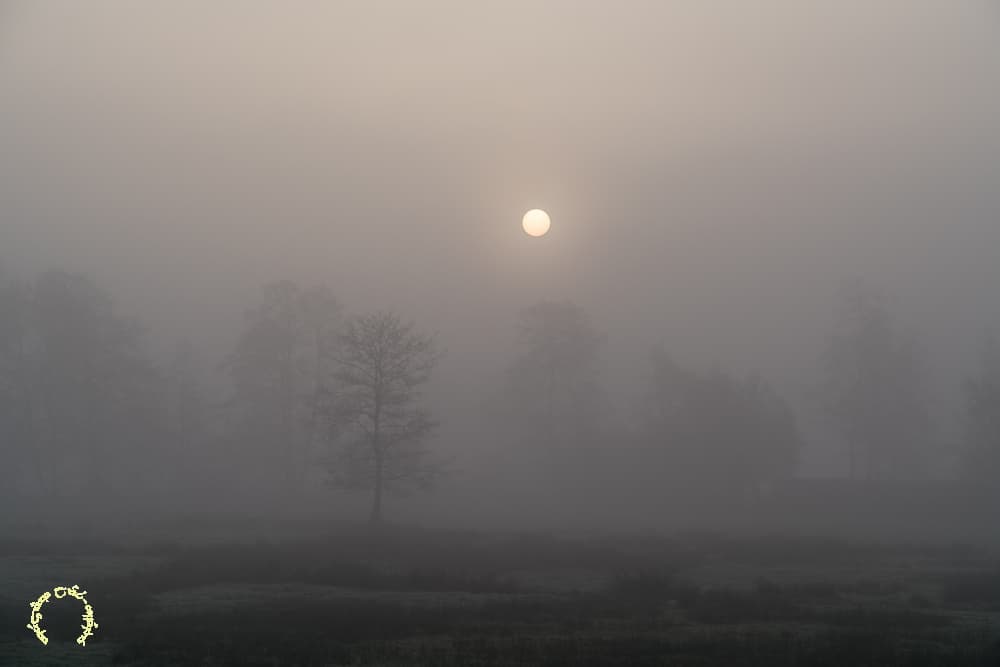 Dans la vallée