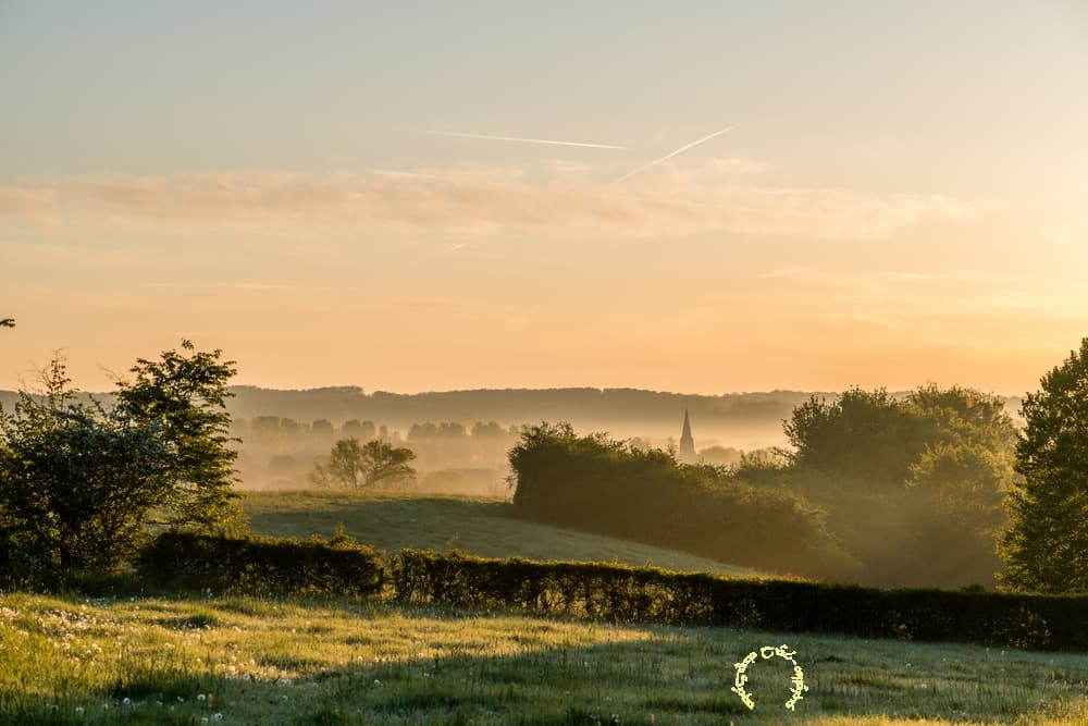 Brume d'or