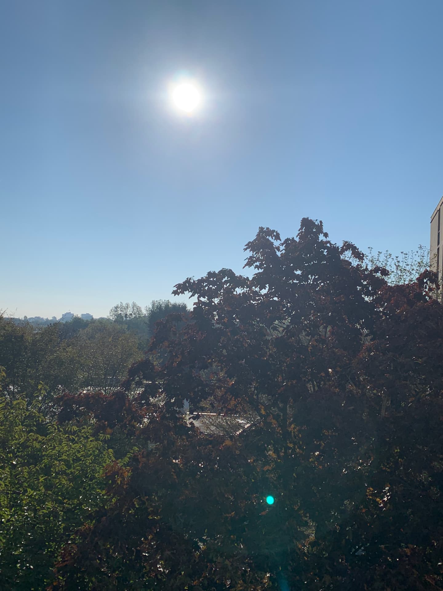 journee-automnale