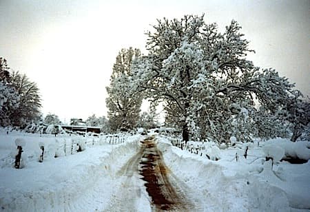 Image d'illustration pour Décembre froid : promesse d'un hiver glacial? 