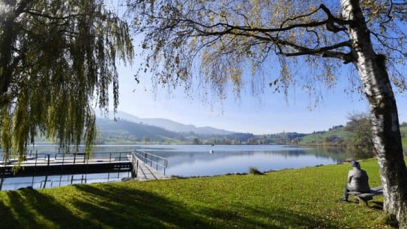 Image d'illustration pour One Planet Summit à Paris - Revue de presse du changement climatique