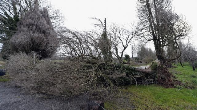 Image d'illustration pour Dépression Petra les 4 et 5 février - tempête et vagues sur l'Ouest