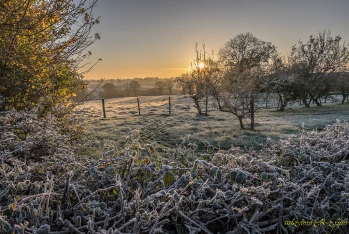 Image d'illustration pour L'automne s'affirme et les gelées s'étendent