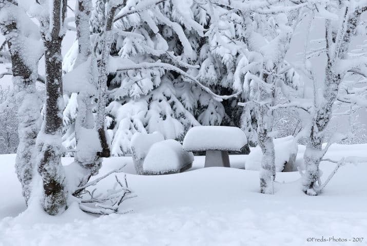 Image d'illustration pour Offensive hivernale : alerte à la neige et au verglas !