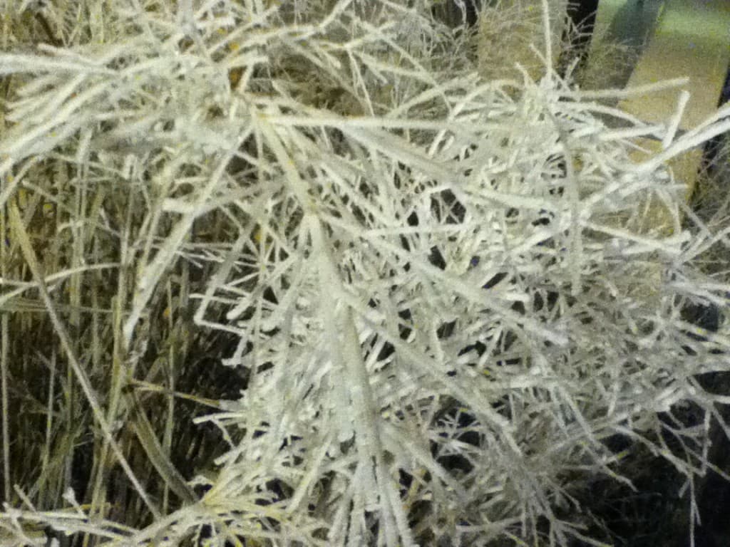 Image d'illustration pour Vos plus belles photos de givre