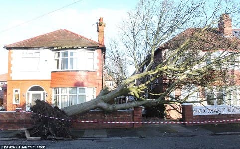 Image d'illustration pour Suivi de la dépression Tini - inondations en Bretagne