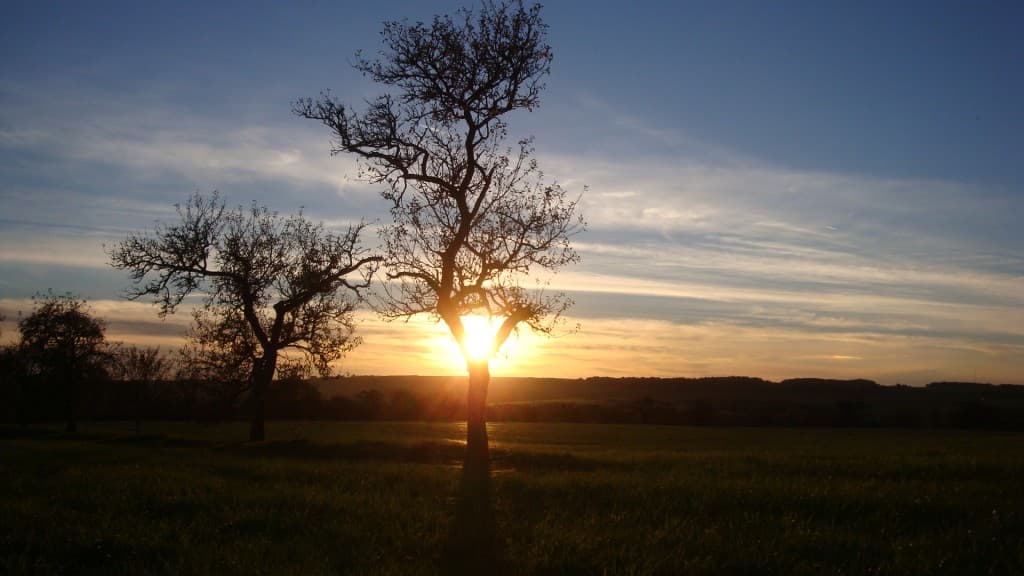 Au coucher du soleil