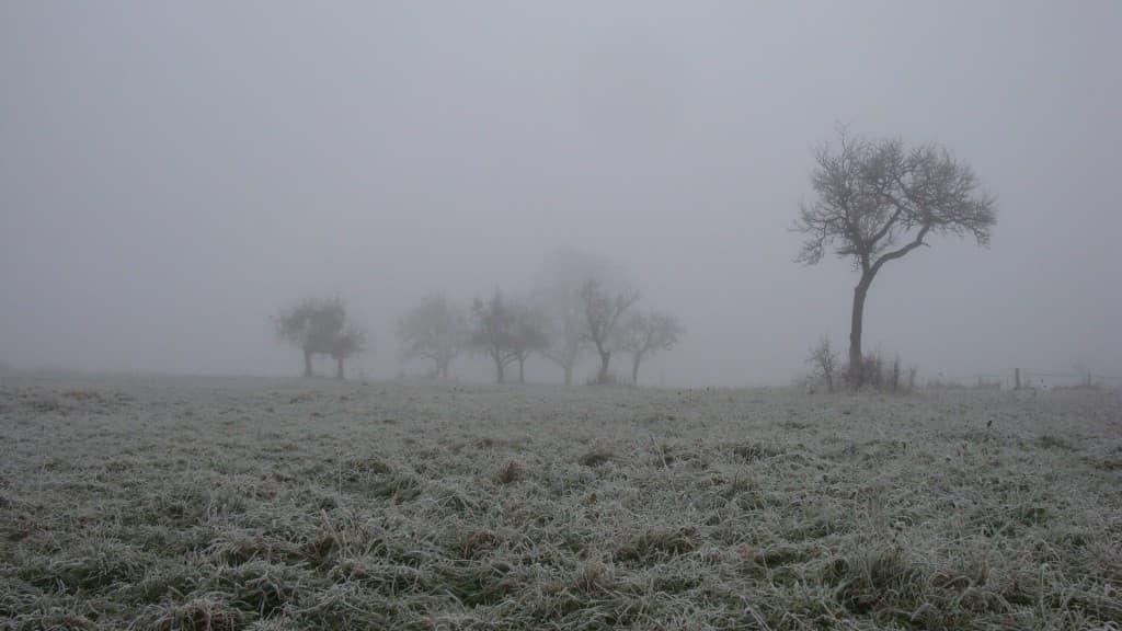 Aujourd'hui brouillard givrant..