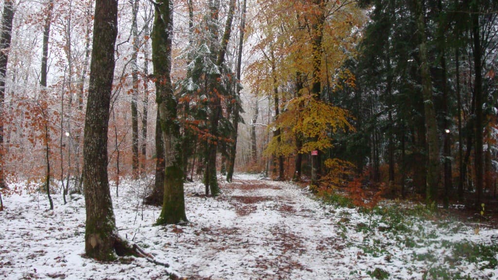 Automne et hiver