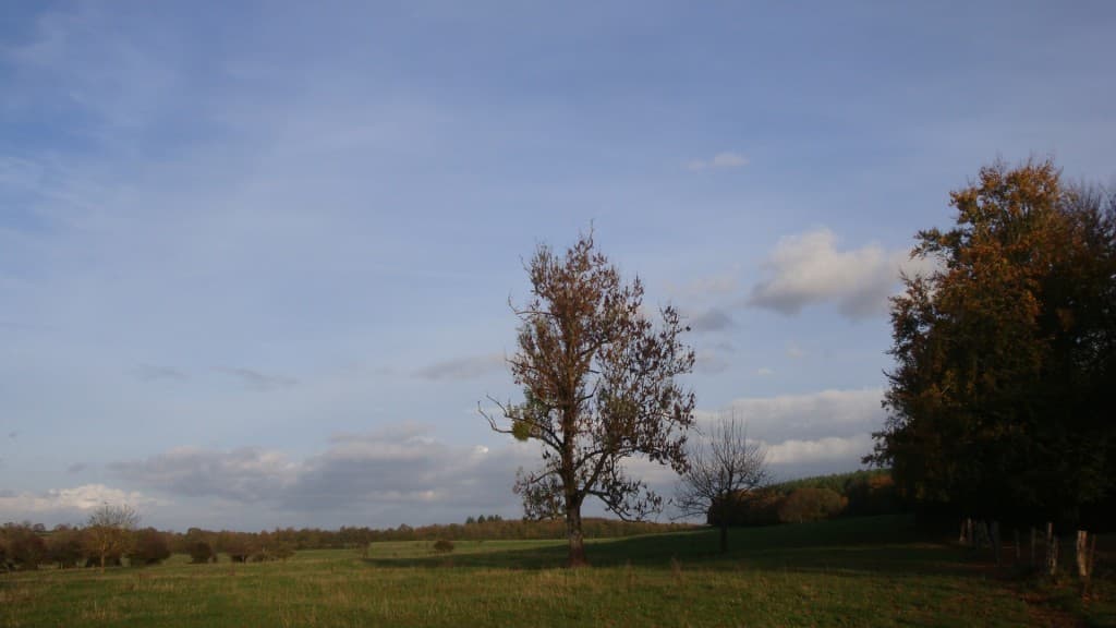 Automne