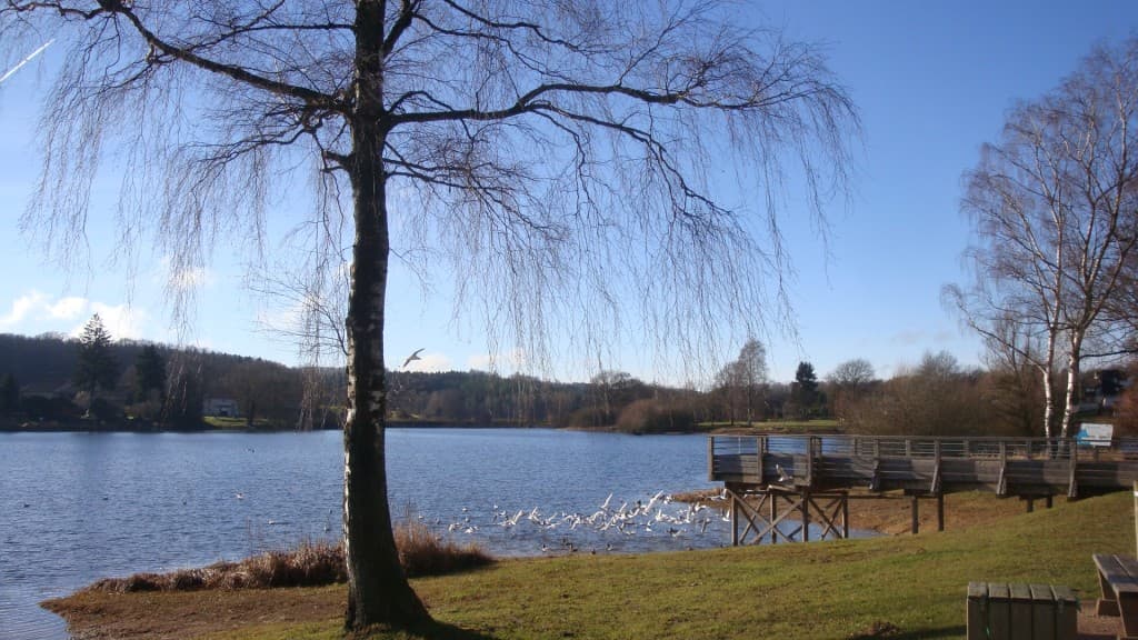Beau temps sur le lac de Bouzey