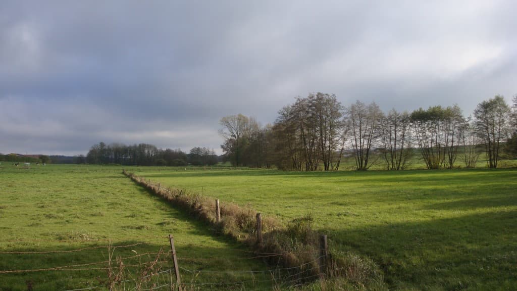 Belle éclaircie