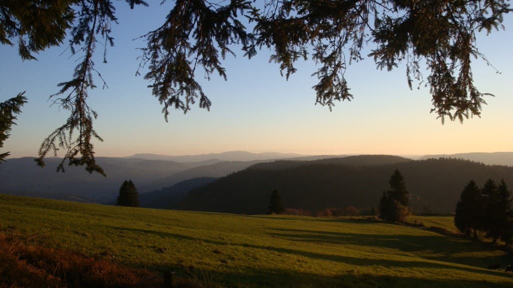 Belle  fin de journée sur les vosges