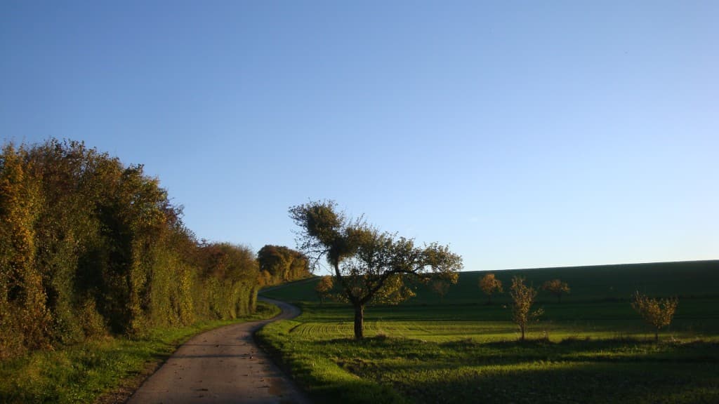Belle lumière automnale( bis)