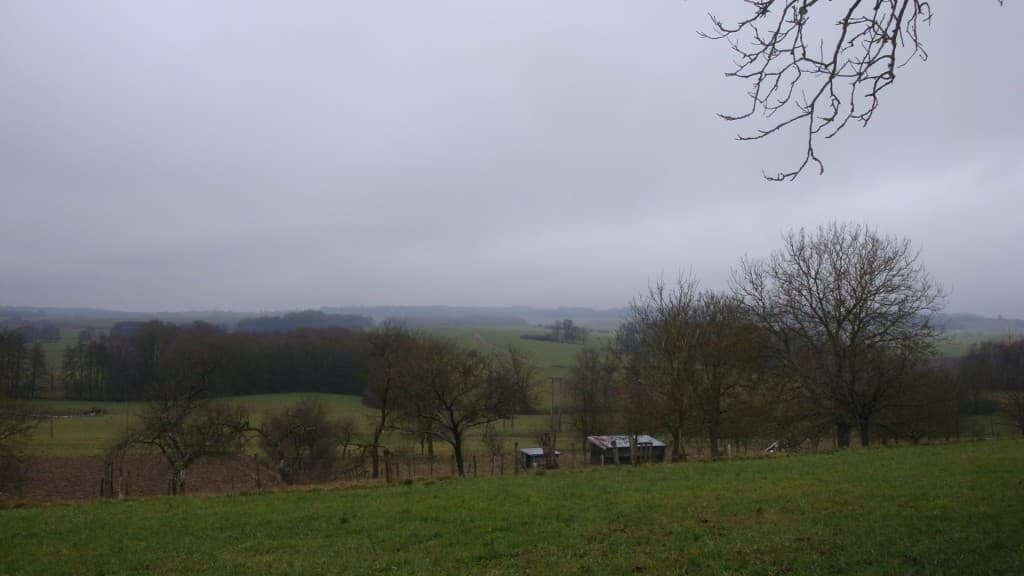 Bien gris aujourd'hui
