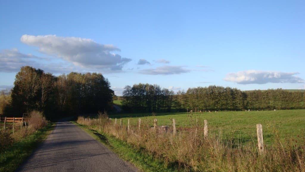 Bleu d'automne