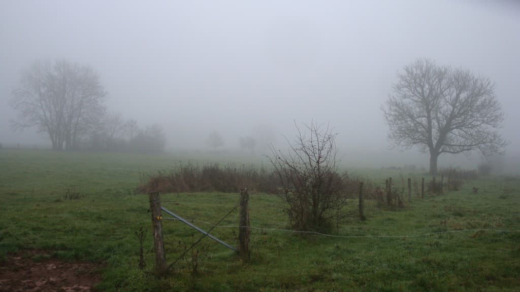 Brouillard bien dense du jour