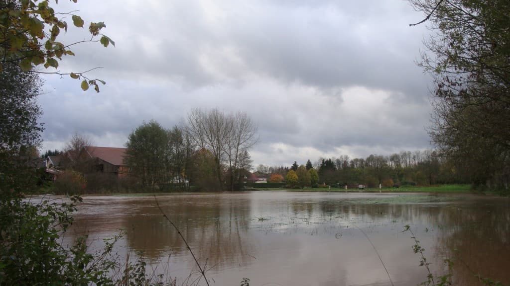 Champ inondé..