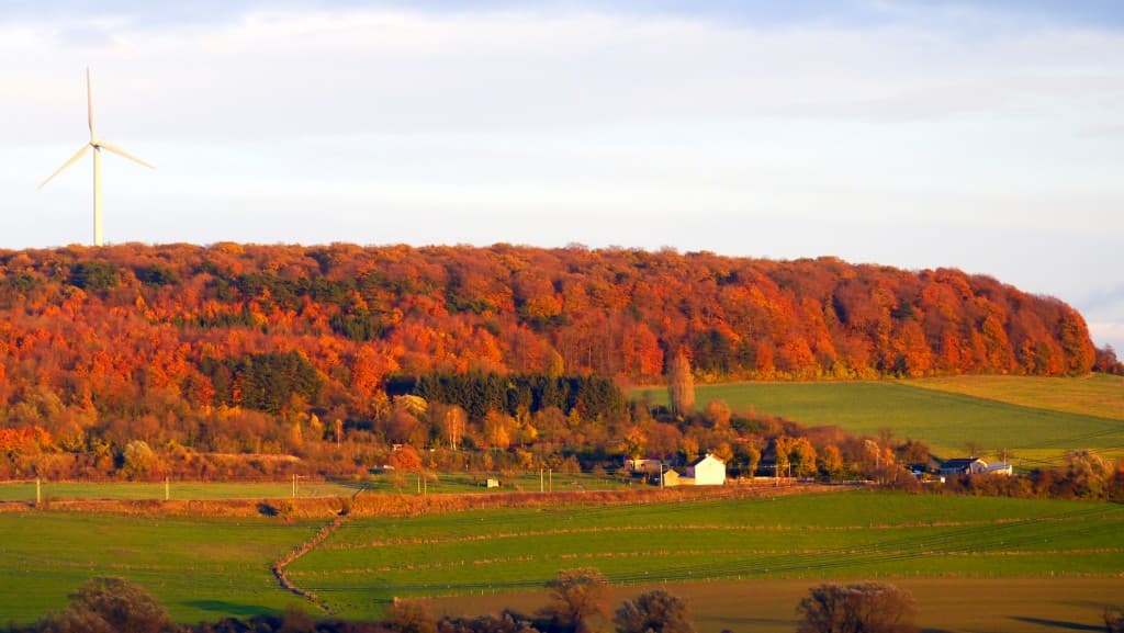 couleur d'automne