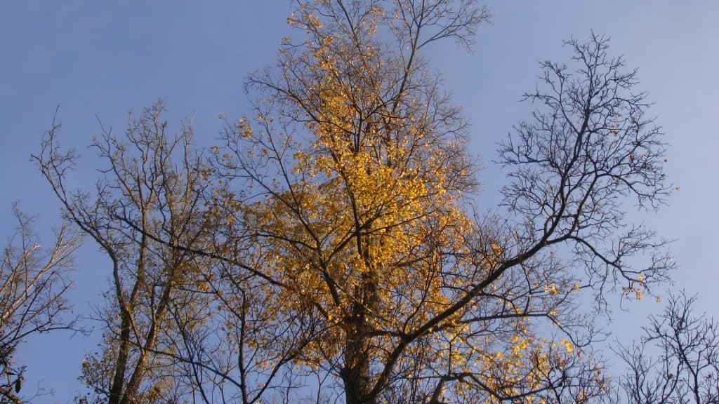 Du ciel bleu aujourd'hui à Epinal..